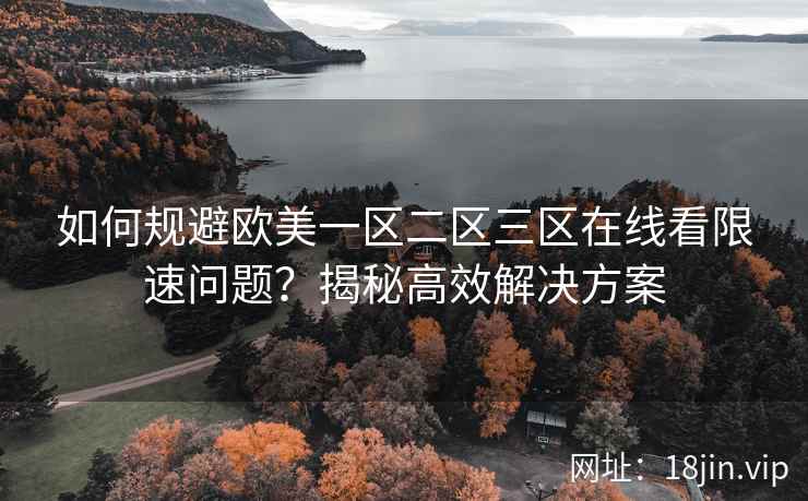 如何规避欧美一区二区三区在线看限速问题？揭秘高效解决方案