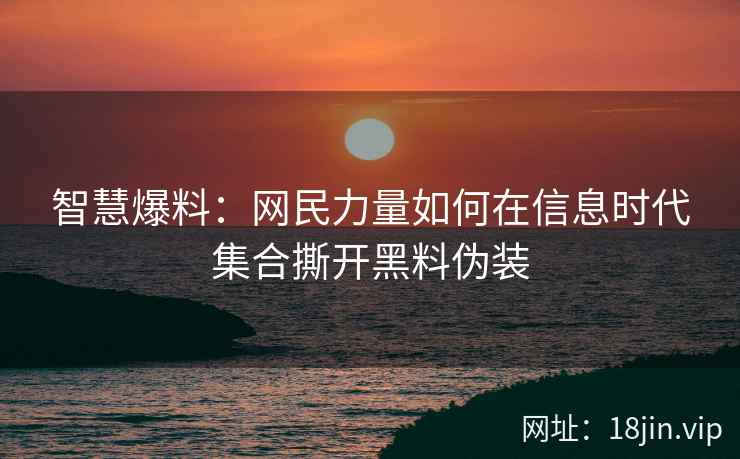 智慧爆料：网民力量如何在信息时代集合撕开黑料伪装