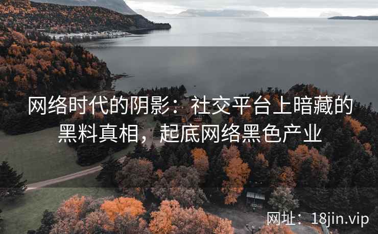 网络时代的阴影：社交平台上暗藏的黑料真相，起底网络黑色产业