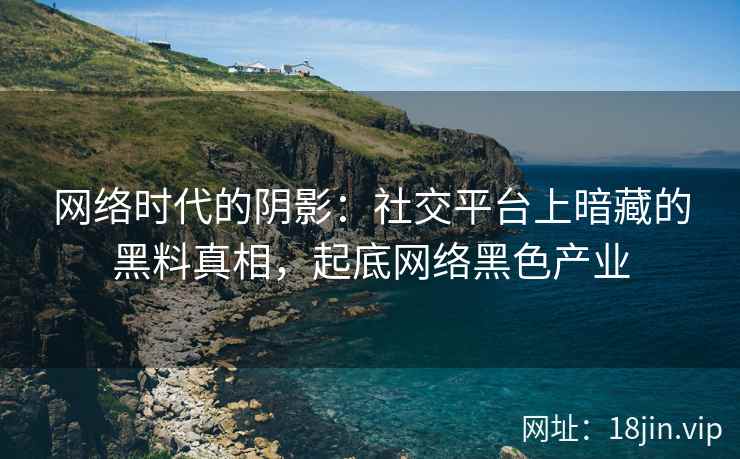 网络时代的阴影：社交平台上暗藏的黑料真相，起底网络黑色产业