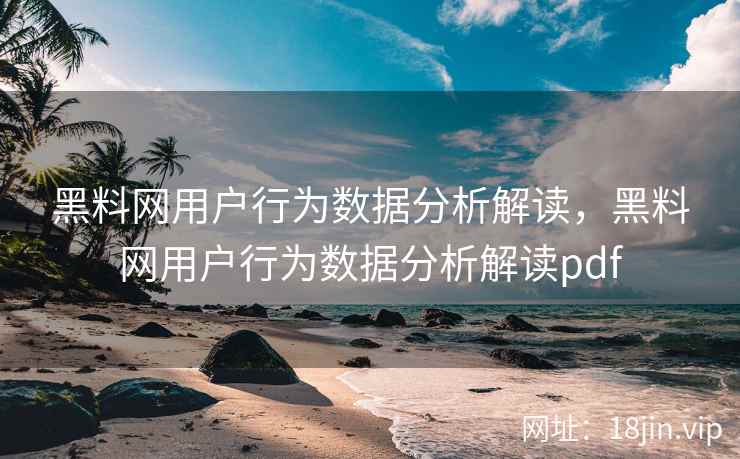 黑料网用户行为数据分析解读，黑料网用户行为数据分析解读pdf