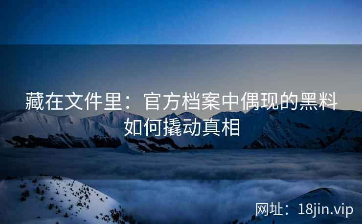 藏在文件里：官方档案中偶现的黑料如何撬动真相