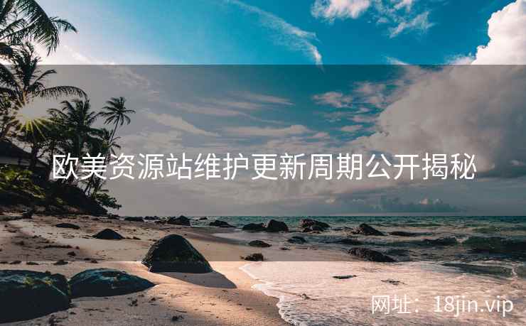 欧美资源站维护更新周期公开揭秘