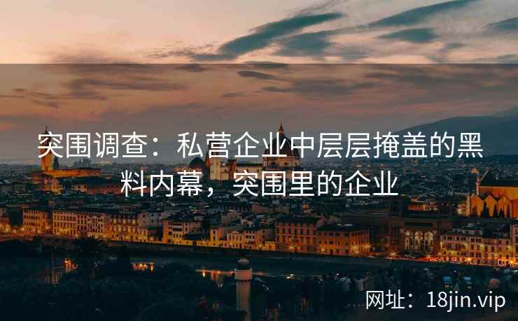 突围调查：私营企业中层层掩盖的黑料内幕，突围里的企业