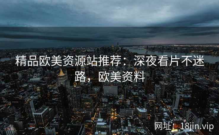 精品欧美资源站推荐：深夜看片不迷路，欧美资料