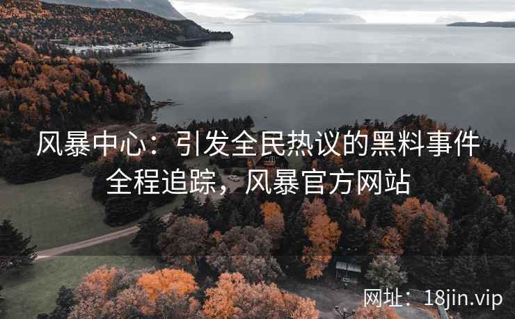 风暴中心：引发全民热议的黑料事件全程追踪，风暴官方网站