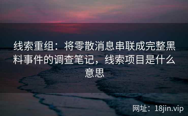 线索重组：将零散消息串联成完整黑料事件的调查笔记，线索项目是什么意思
